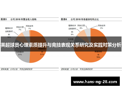 英超球员心理素质提升与竞技表现关系研究及实践对策分析 英超球员心理素质提升与竞技表现关系研究及实践对策分析